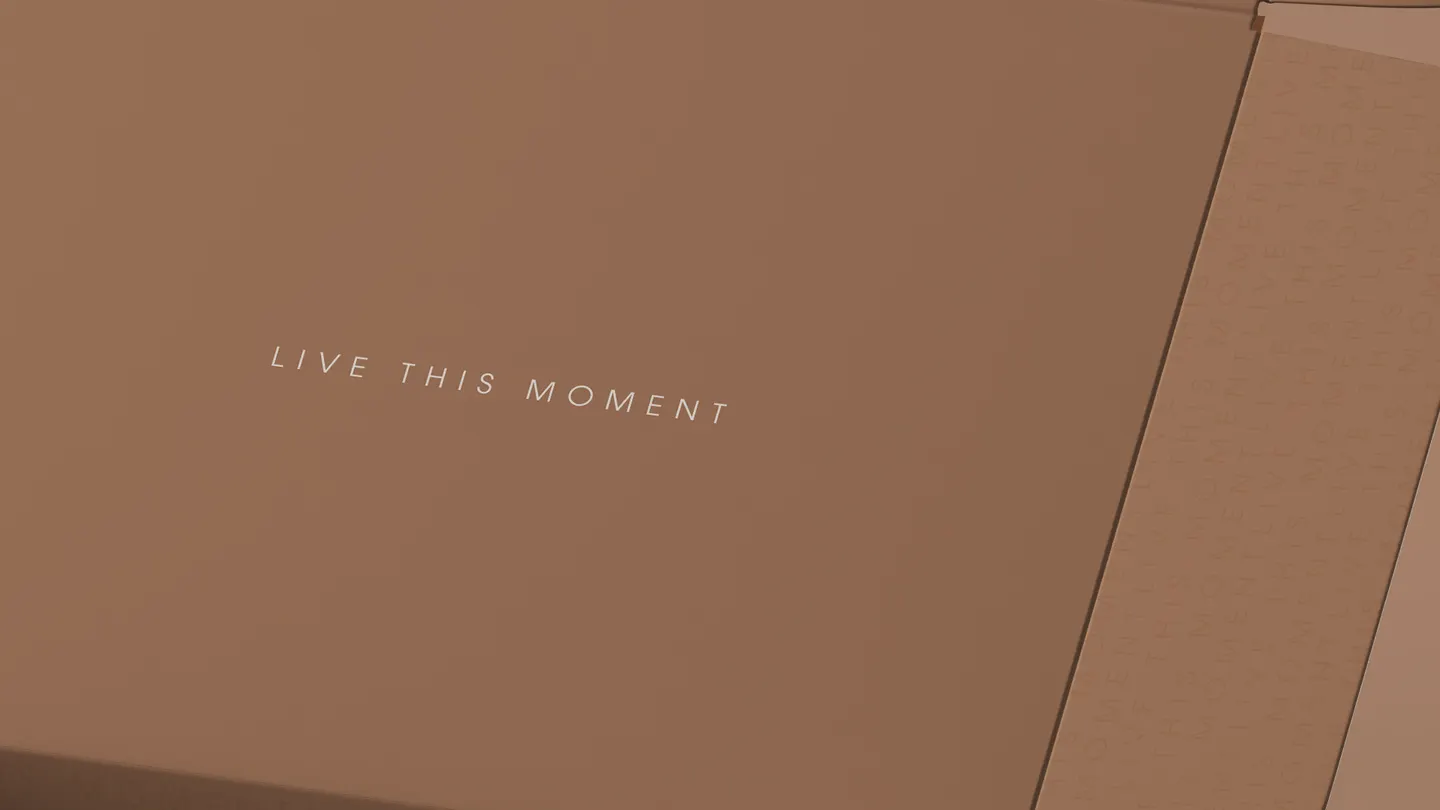 Catfish — imagem 4 de 12