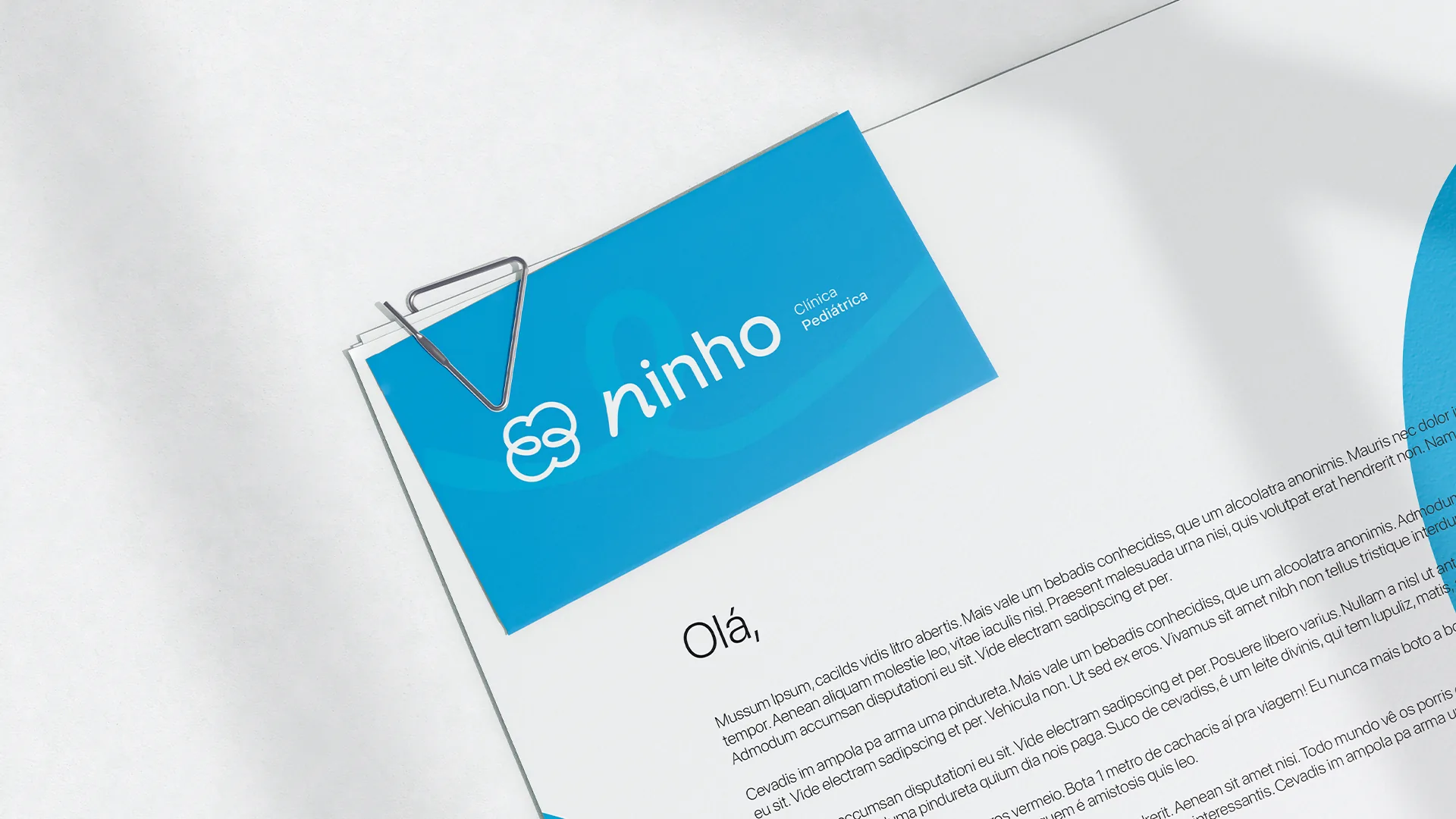 Ninho — imagem 5 de 13